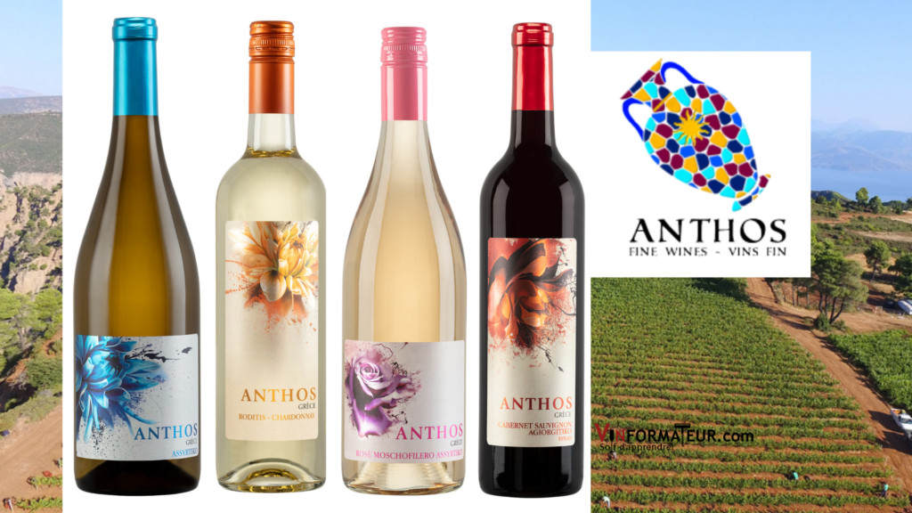 Les nouveaux vins grecs Anthos 4 bouteilles de vin