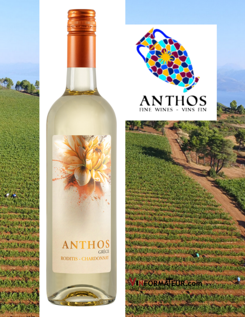 Bouteille de vin Anthos, Roditis, Chardonnay, Grèce, Vin Blanc Sec, 2017
