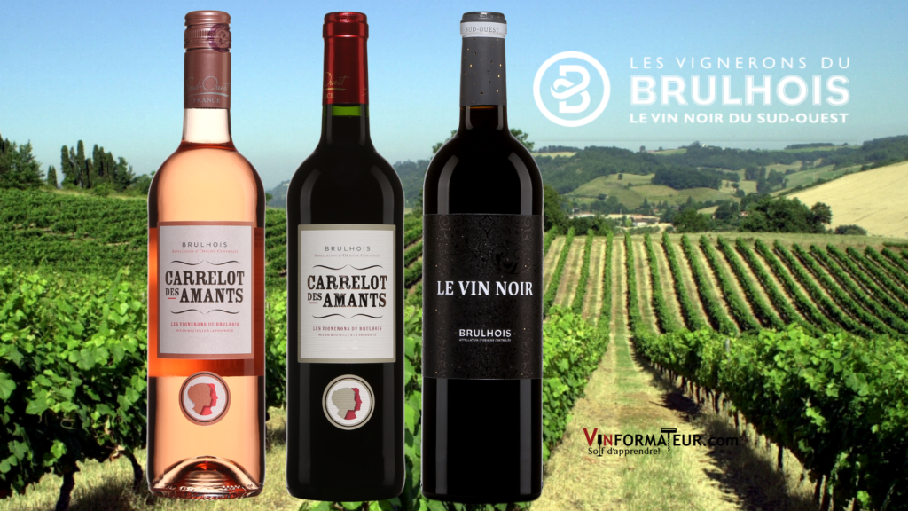 3 bouteilles de vins des Vignerons de Brulhois avec vignoble en arrière-plan