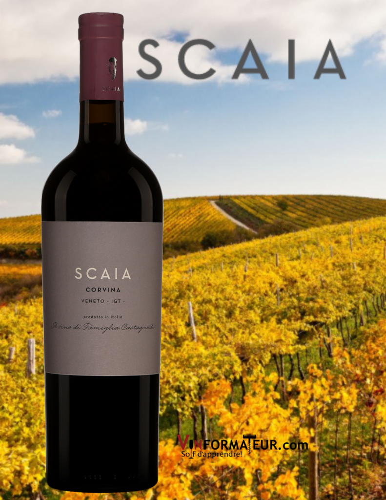 Bouteille de Scaia, Corvina, Italie, Veneto, Tenuta Sant’Antonio, 2018 avec en background le vignoble
