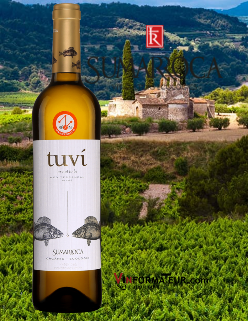 Bouteille de Tuvi (or not to be), vin blanc bio, Espagne, Penedes, Bodegues Sumarroca, 2019 avec vignoble de Sumarroca en arrière-plan