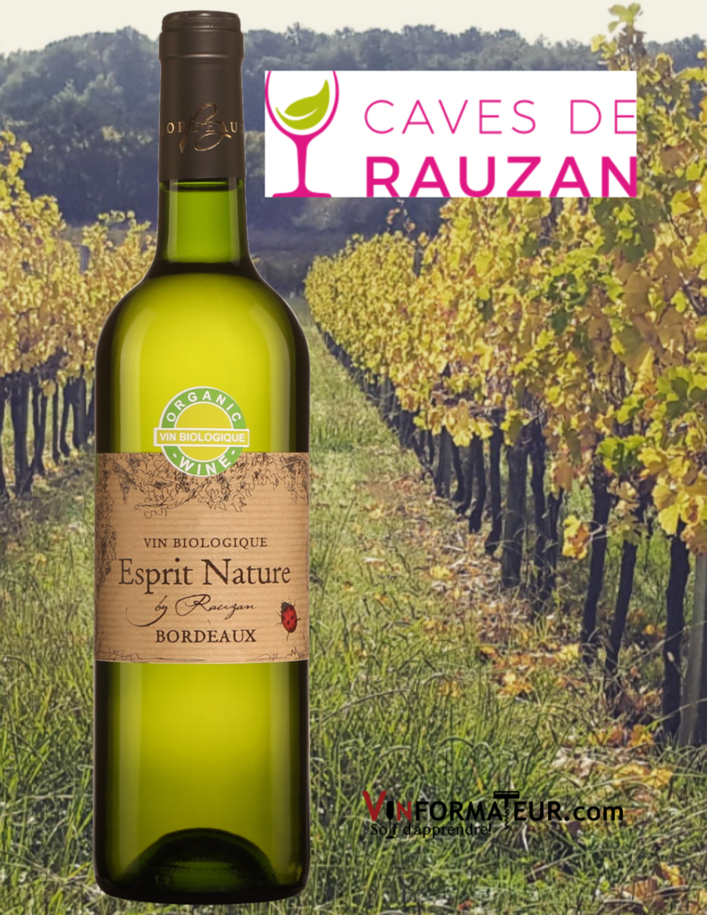 Bouteille de vin Esprit Nature, by Rauzan, France, Bordeaux, vin bio blanc, 2019 avec vignoble en arrière-plan