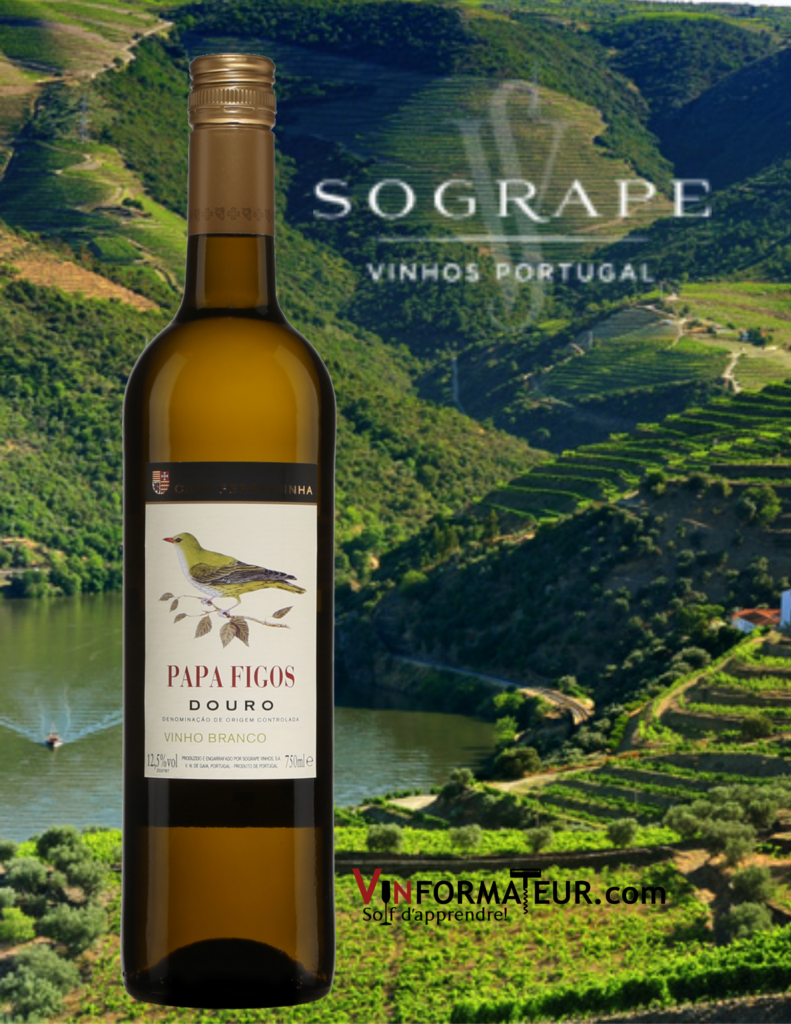 Bouteille Papa Figos, Vinho Branco, Portugal, Douro, Casa Ferreirhina, 2019 avec vignobles Douro en arrière-plan