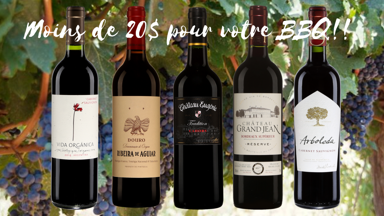 5 beaux vins rouges sous les 20 pour votre BBQ! Vinformateur