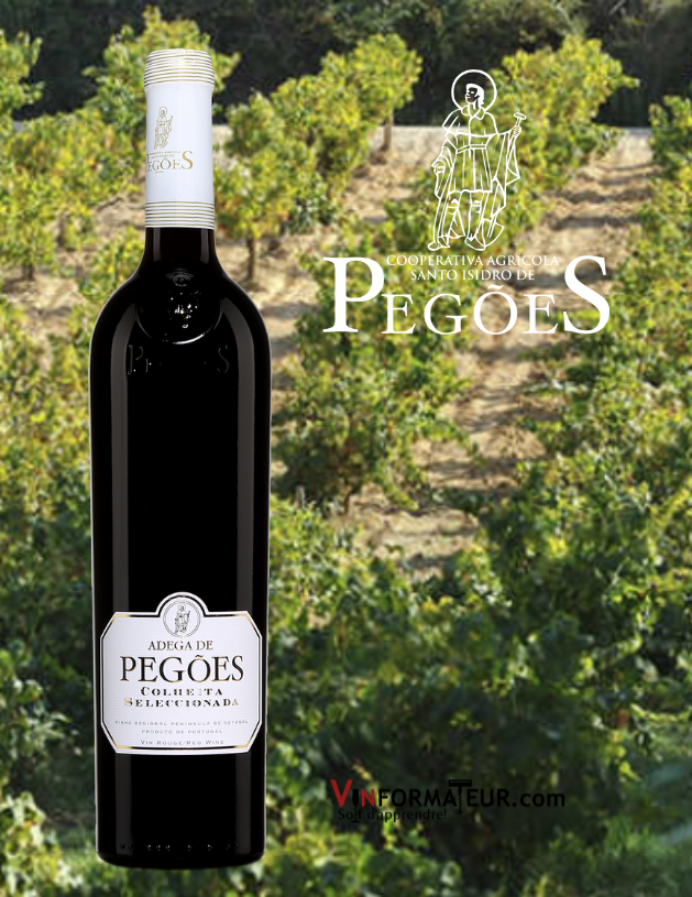 Adega de Pegões, Colheita Seleccionada, Portugal, Péninsule de Setubal, Palmela DO, vin rouge, 2016