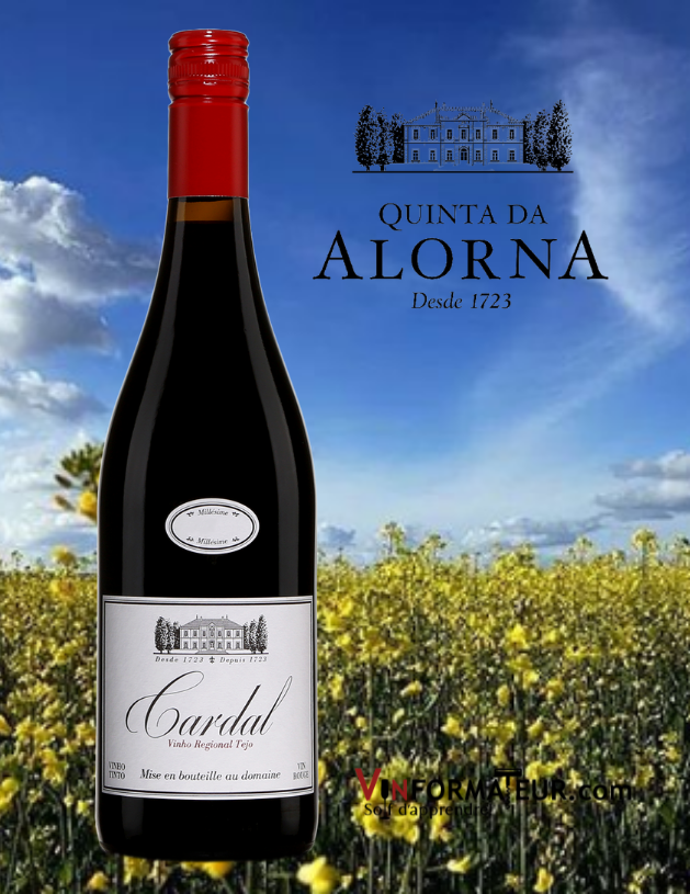 Bouteille de Cardal, Quinta da Alorna, Portugal, Tejo, vin rouge, 2019
