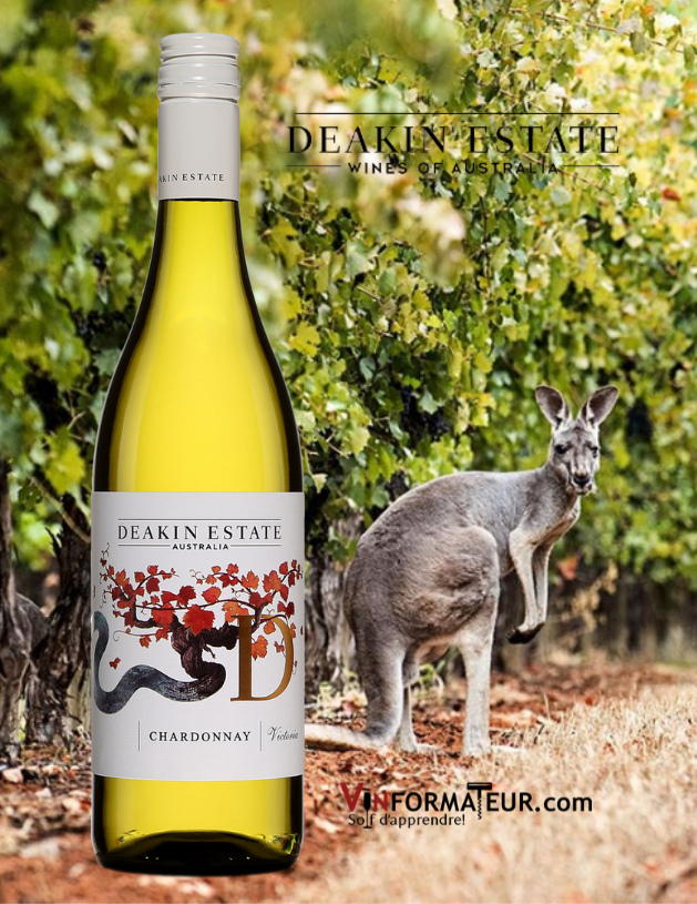 Bouteille de Deakin Estate, Chardonnay, Australie, vin blanc, 2019