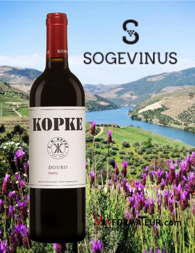 Bouteille de Kopke, Portugal, Douro, vin rouge, 2018 avec vihgnobles en arrière-plan