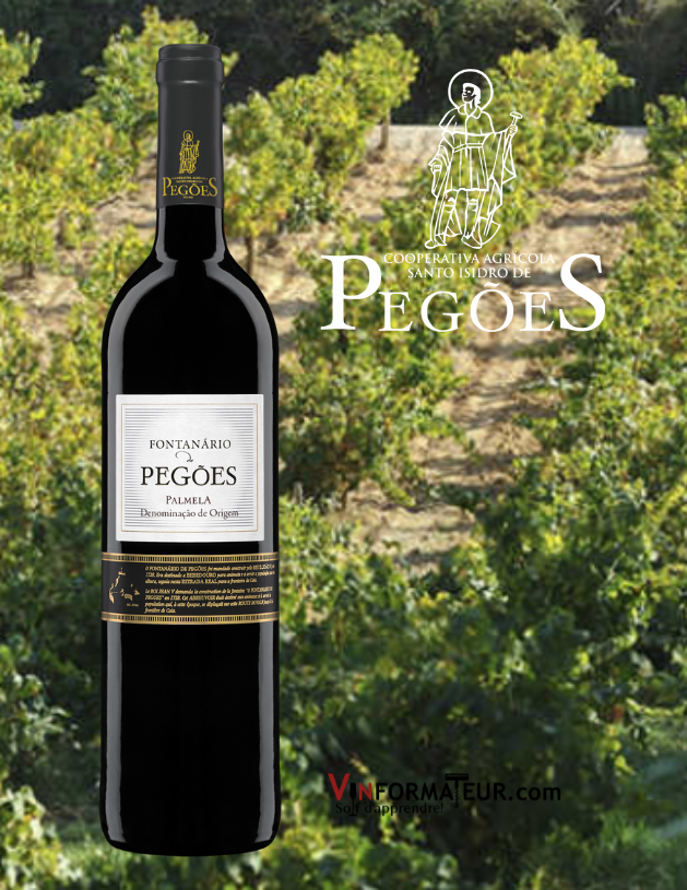 Fontanario de Pegoes, Portugal, Péninsule de Setubal, Palmela DO, vin rouge, 2019