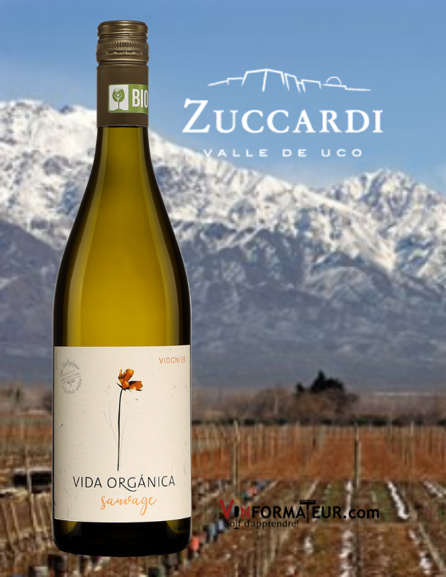 Bouteille de Vida Organica, Sauvage, Viognier, Argentine, Mendoza, Santa Rosa, La Agricola, Zuccardi, vin blanc bio, 2020 avec vignobles