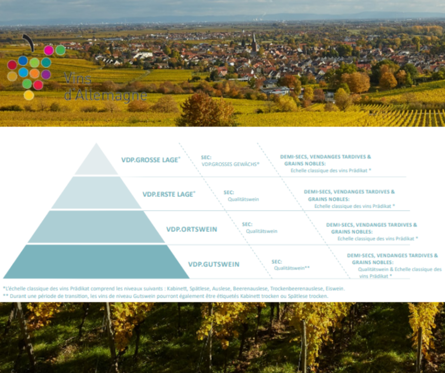 Découvrez les vins de l'Allemagne!! Vinformateur