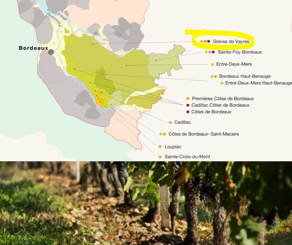 Carte viticole Graves de Vayres - Entre-deux-Mers et vignobles