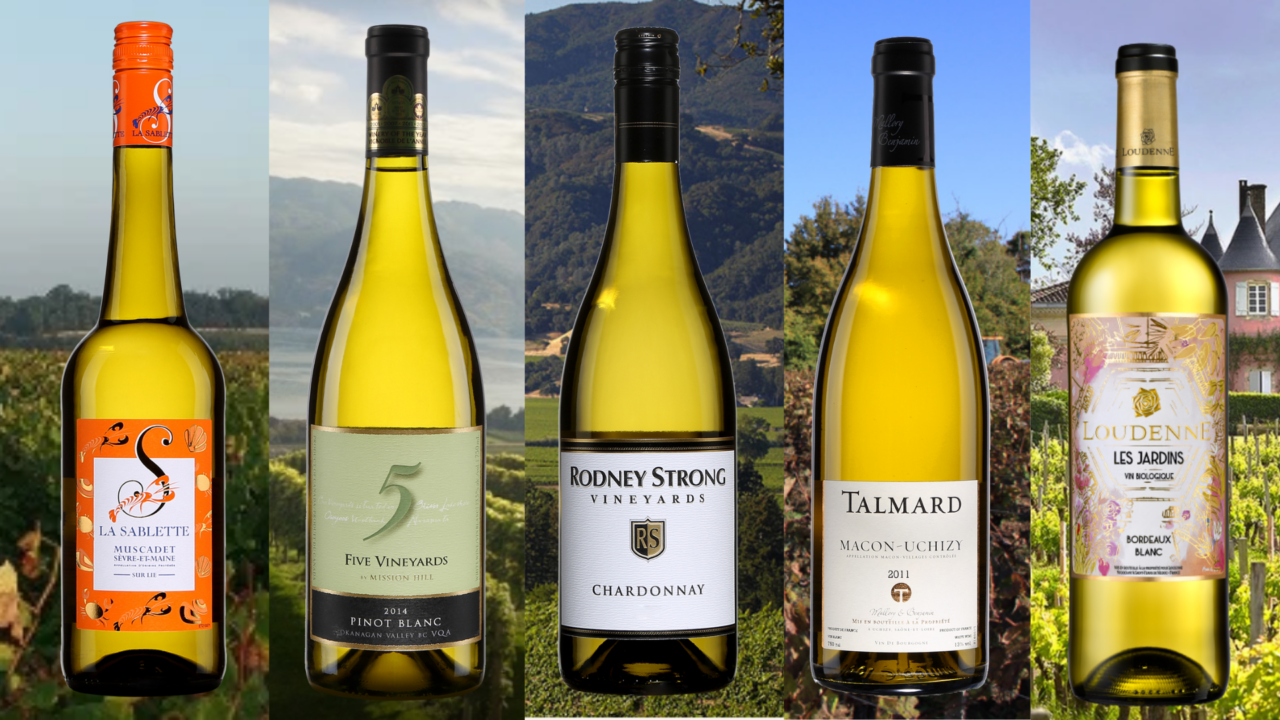 5 vins blancs pour faire de belles découvertes! Vinformateur