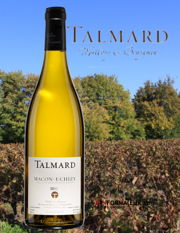 Talmard, Macon-Uchizy, France, Bourgogne, Maconnais, Mallory & Benjamin, vin blanc, 2019