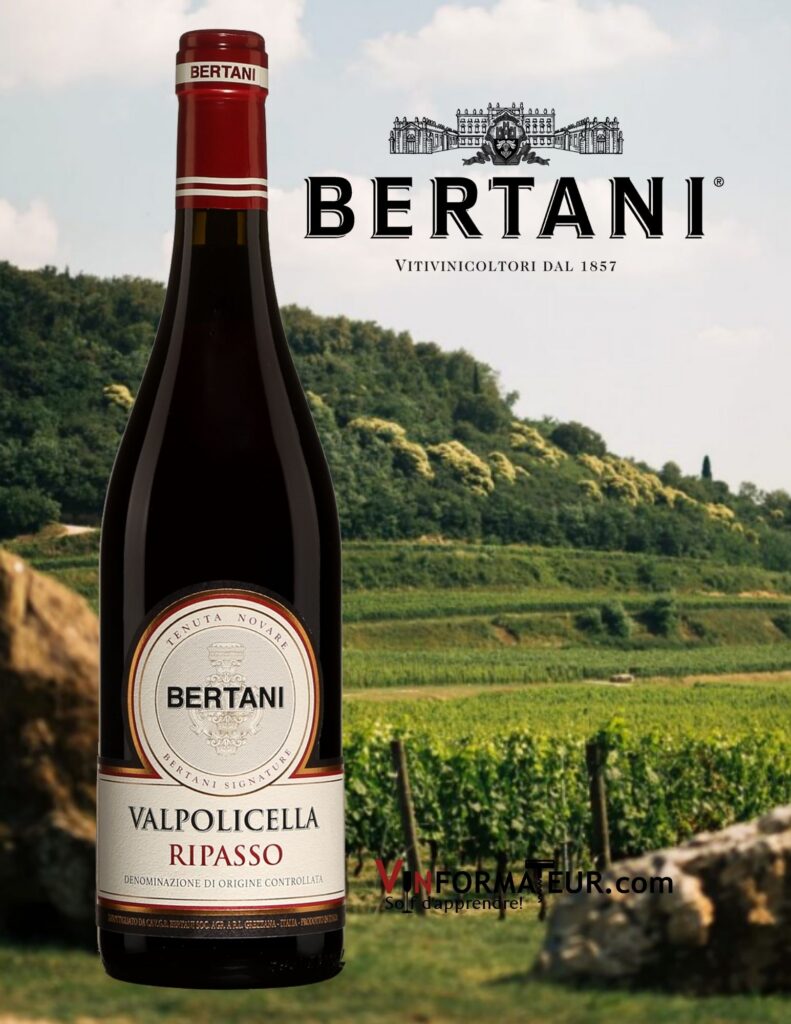 Bouteille de Bertani, Valpolicella Ripasso, Italie, Vénétie, Tenuta Novare, 2018 avec vignobles