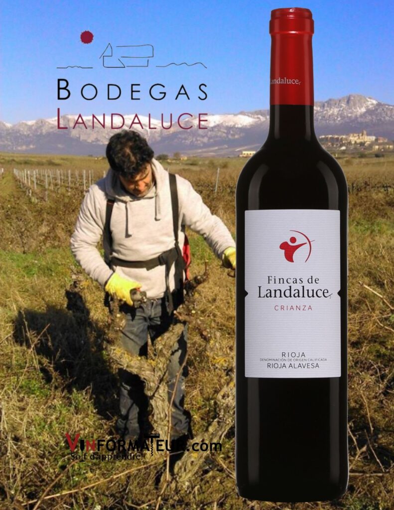 Bouteille de Fincas de Landaluce, Espagne, Rioja Crianza, 2018 et vignobles