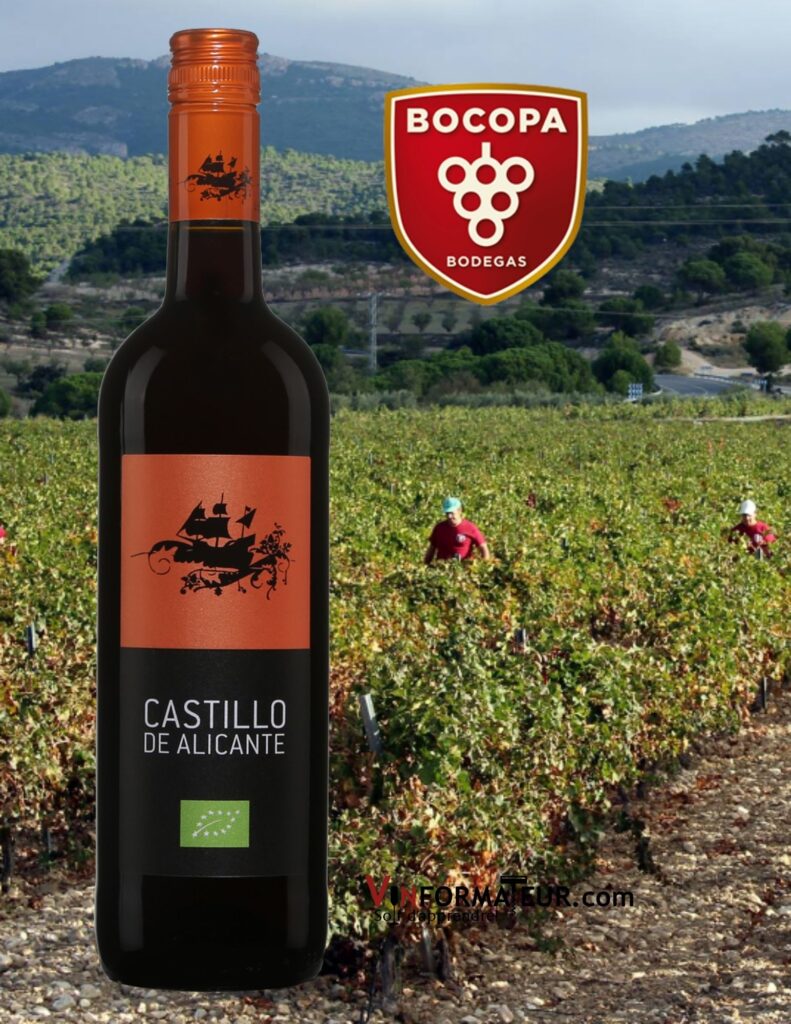 Bouteille de Castillo de Alicante, Espagne, vin rouge bio, 2020 avec vignobles