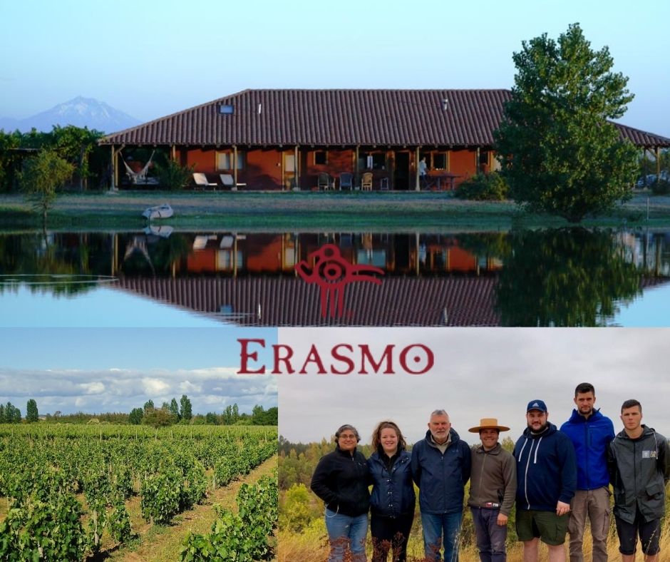 Erasmo - Vina La Reserva de Caliboro, chai, équipe et vignobles