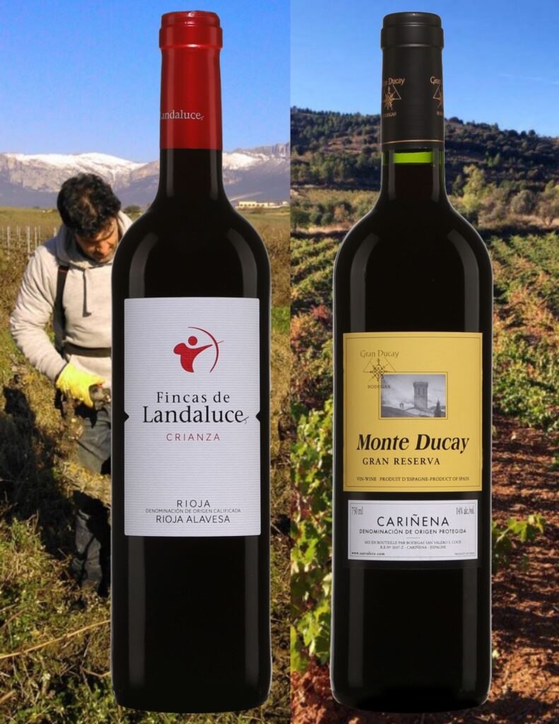 Bouteilles de Monte Ducay Bodega San Valero Gran Reserva Carinena 2014 Bodegas Landaluce Crianza Rioja 2018 avec vignobles