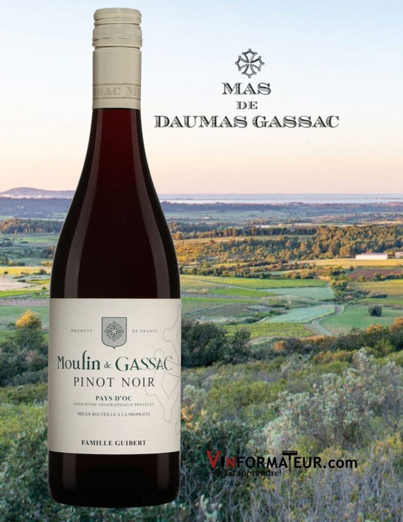 Bouteille de Moulin de Gassac, Pinot Noir, Languedoc- Roussillon, IGP Pays d’Oc, 2019 avec vignobles