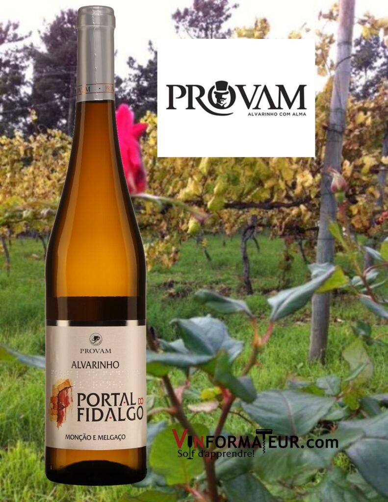 Bouteille de Portal do Fidalgo, Alvarinho, Portugal, Vinho Verde, Provam, 2019 avec vignobles