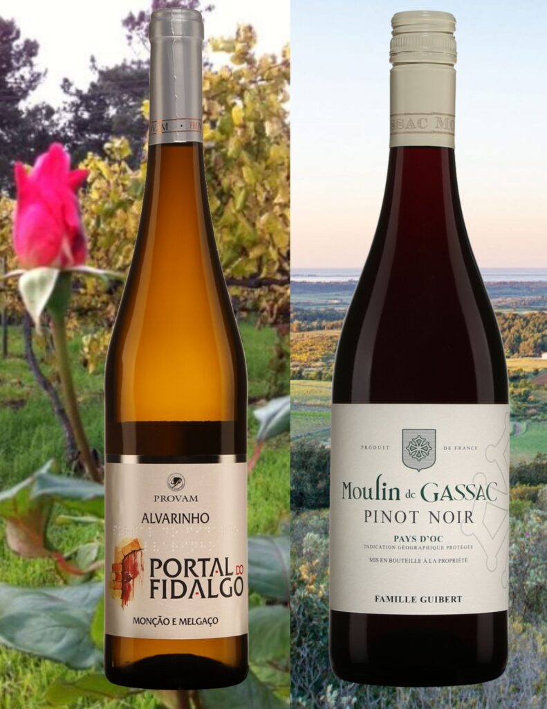 Bouteilles de Moulin de Gassac, Pinot Noir, Languedoc- Roussillon, IGP Pays d’Oc, 2019, Portal do Fidalgo, Alvarinho, Portugal, Vinho Verde, Provam, 2019 avec vignobles