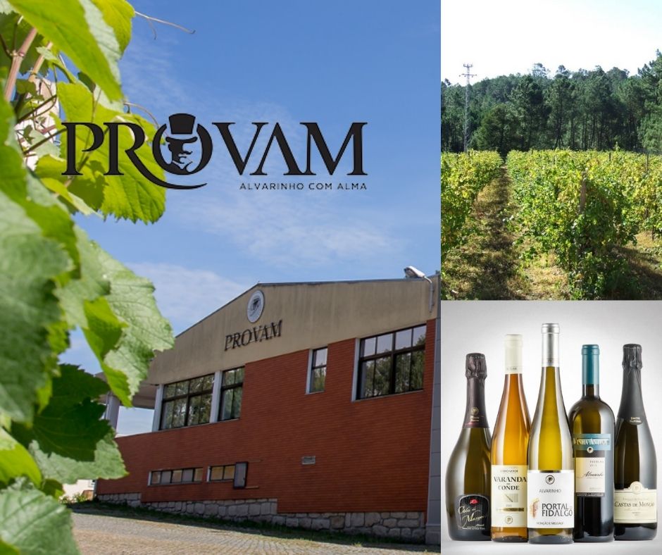 Provam, vins, chai et vignobles
