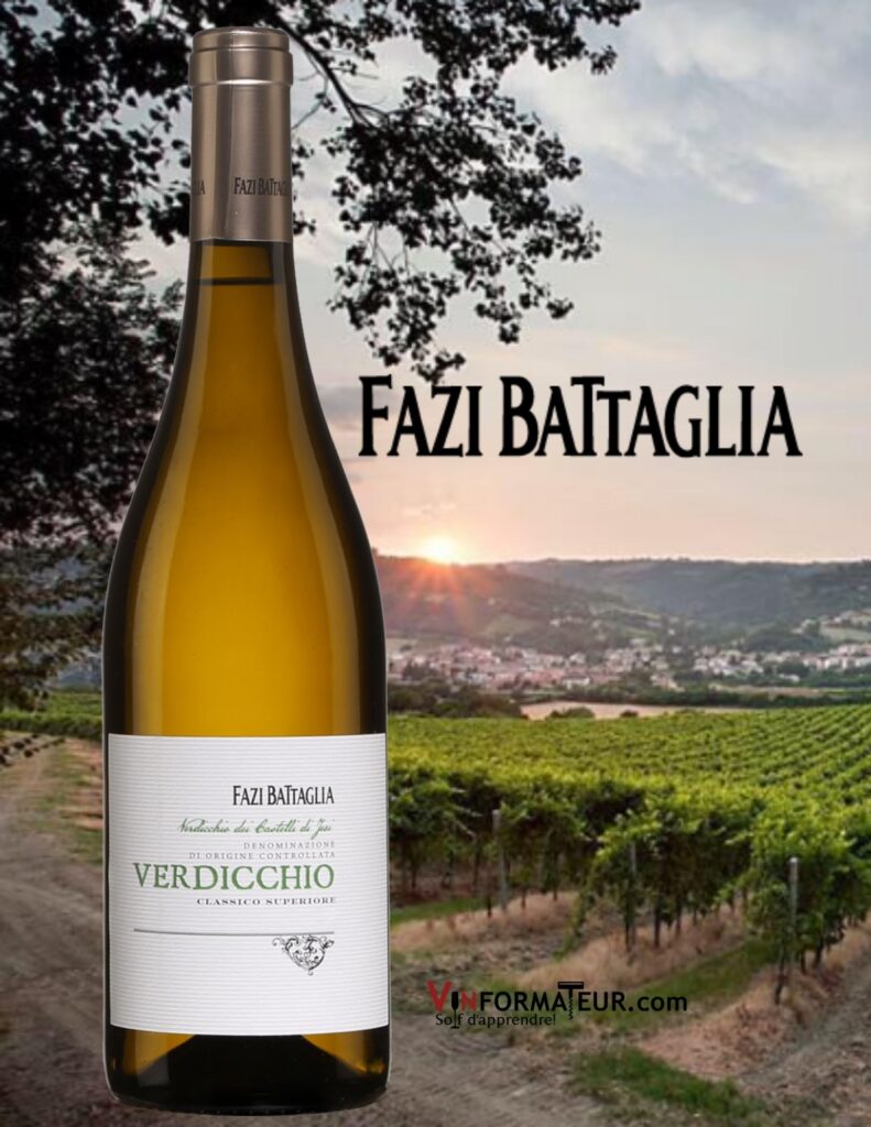 Bouteille de Fazi Battaglia, Verdicchio dei Castelli di Jesi Classico Superiore, Italie, Les Marches, vin blanc, 2020 avec vignobles.