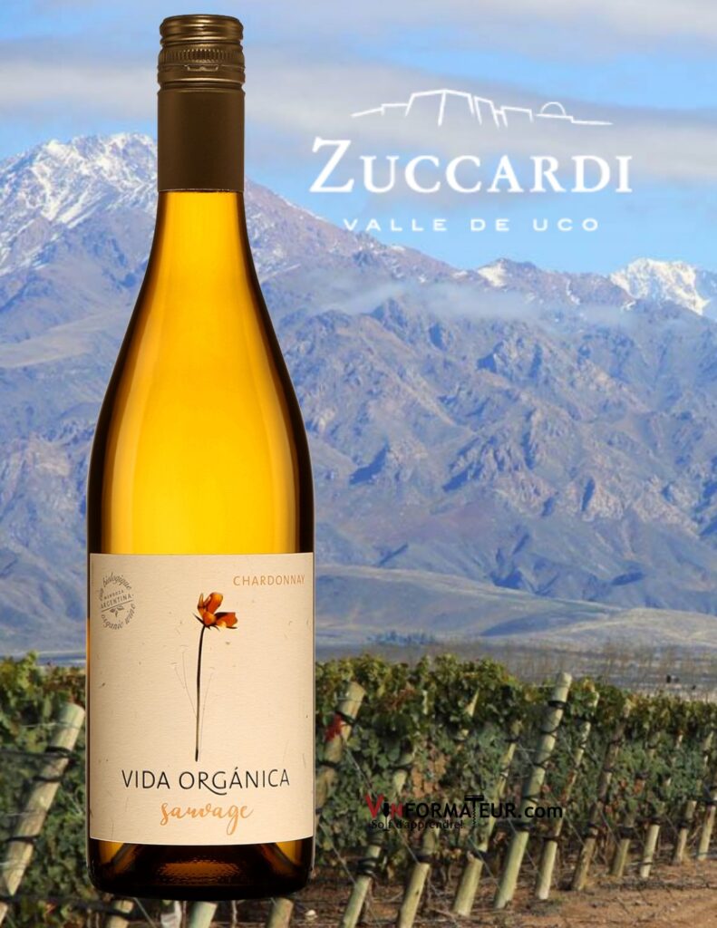 Bouteille de Vida Organica, Sauvage, Chardonnay, Argentine, Mendoza, vin blanc bio, 2020 et vignobles
