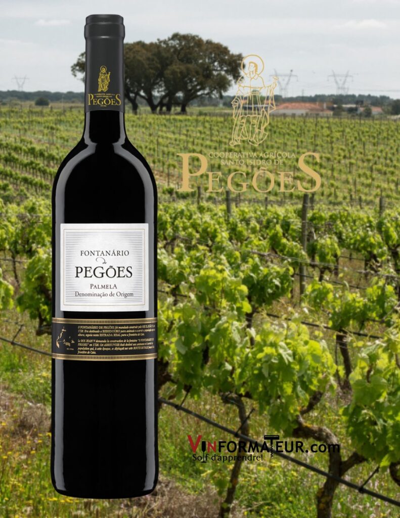 Bouteille de Fontanario de Pegoes, Portugal, Péninsule de Sebutal, Palmela DO,Cooperativa Agricola de Santo Isidro de Pegoes,vin rouge, 2020