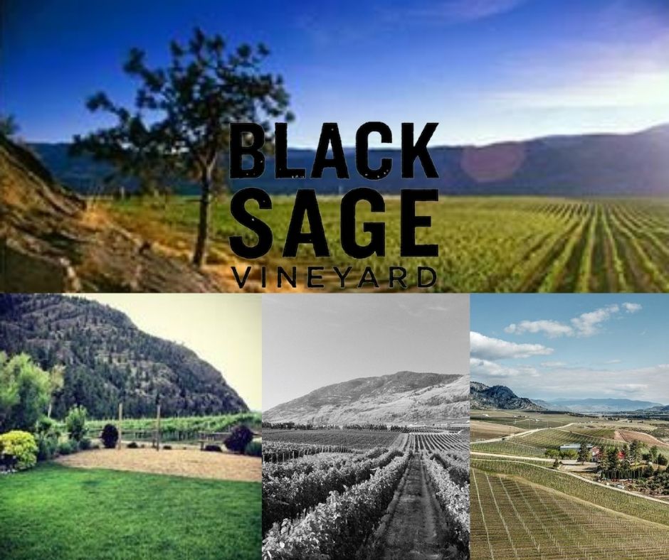 Black Sage Vineyard: vignobles
