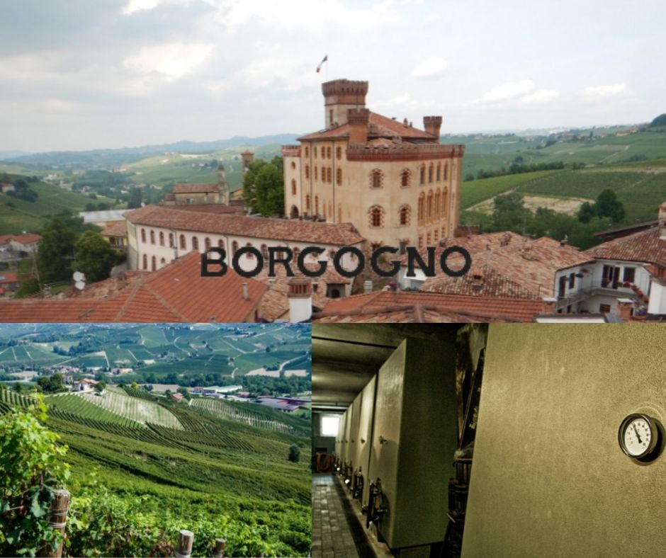 Borgogno: Casa Borgogno, chai et vignobles