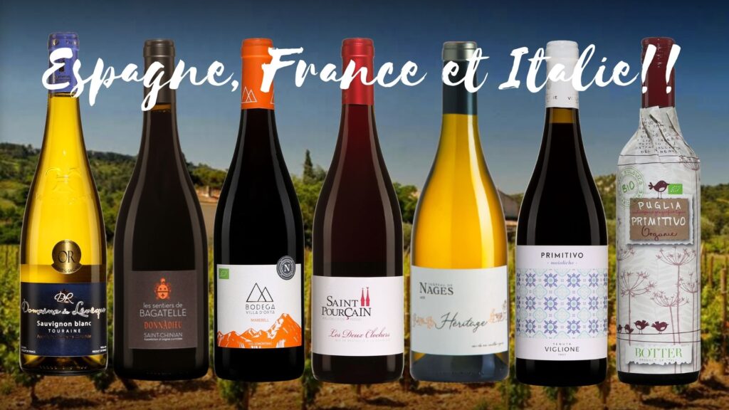 Bouteilles de Vins de France, d'Espagne et d'Italie: 7 suggestions de vins de ces trois pays qui sont les plus grands producteurs de vins au monde!