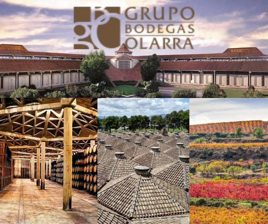 Grupo Bodegas Olarra: chai et vignobles
