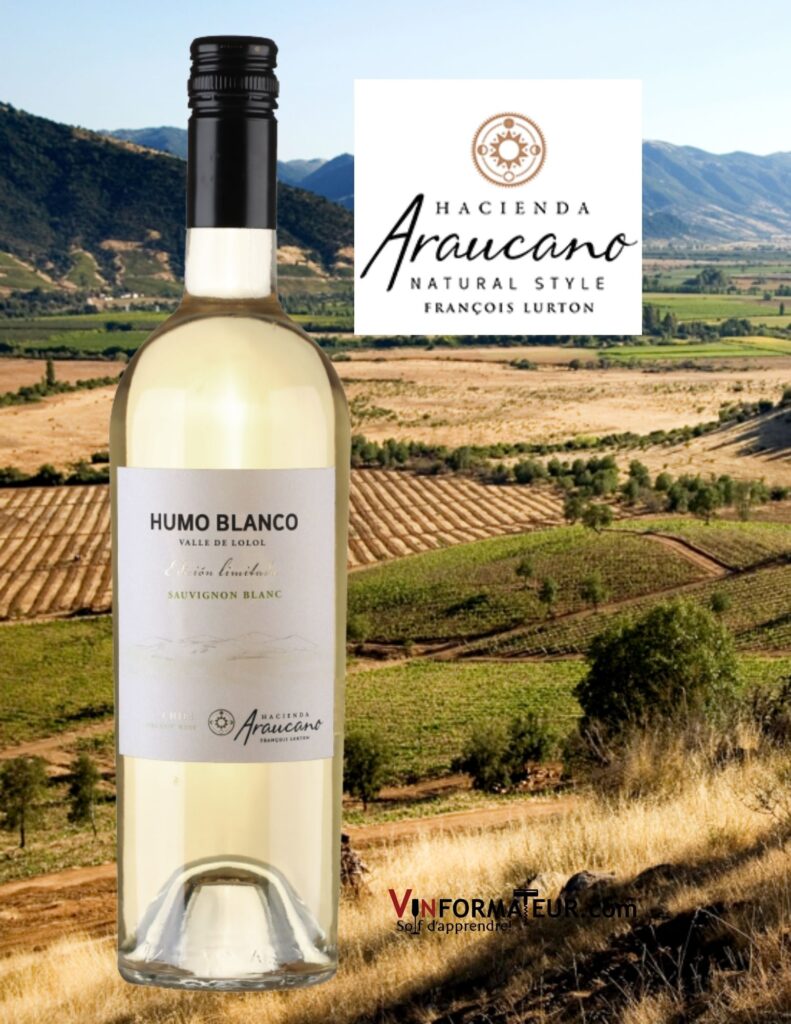 Bouteille de Humo Blanco, Sauvignon blanc, Edicion Limitada, Chili, Vallée de Colchagua, Vallée de Lolol, Hacienda Araucano, vin blanc bio, 2021
