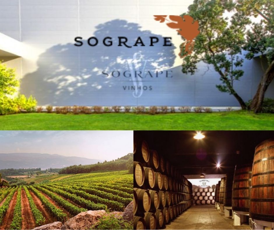 Sogrape Vinhos: chai et vignobles