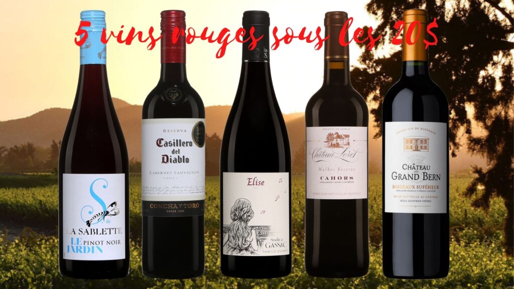 Bouteilles de 5 vins rouges sous les 20$: Le Jardin d’Éolie 2019, Casillero del Diablo, Cabernet-Sauvignon 2019, Cuvée Élise 2019, Château Leret Malbec 2019, Château du Grand Bern 2019.