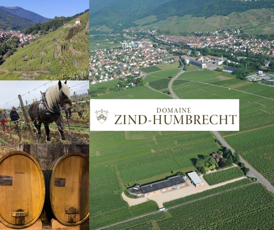 Domaine Zind-Humbrecht: chai et vignobles