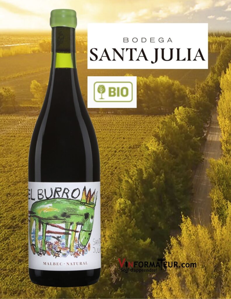 Bouteille de El Burro, Malbec, Argentine, Mendoza, Maipu, Bodega Santa Julia, vin rouge bio, nature et vegan, 2021
