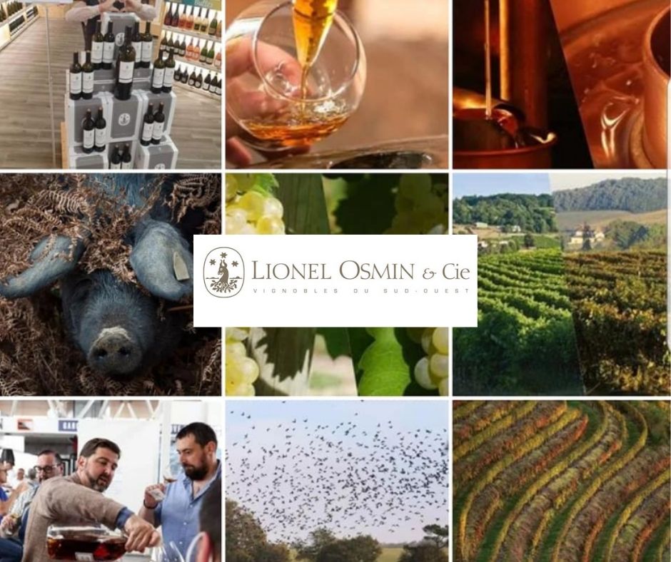 Lionel Osmin et Cie: chai, vignobles et produits