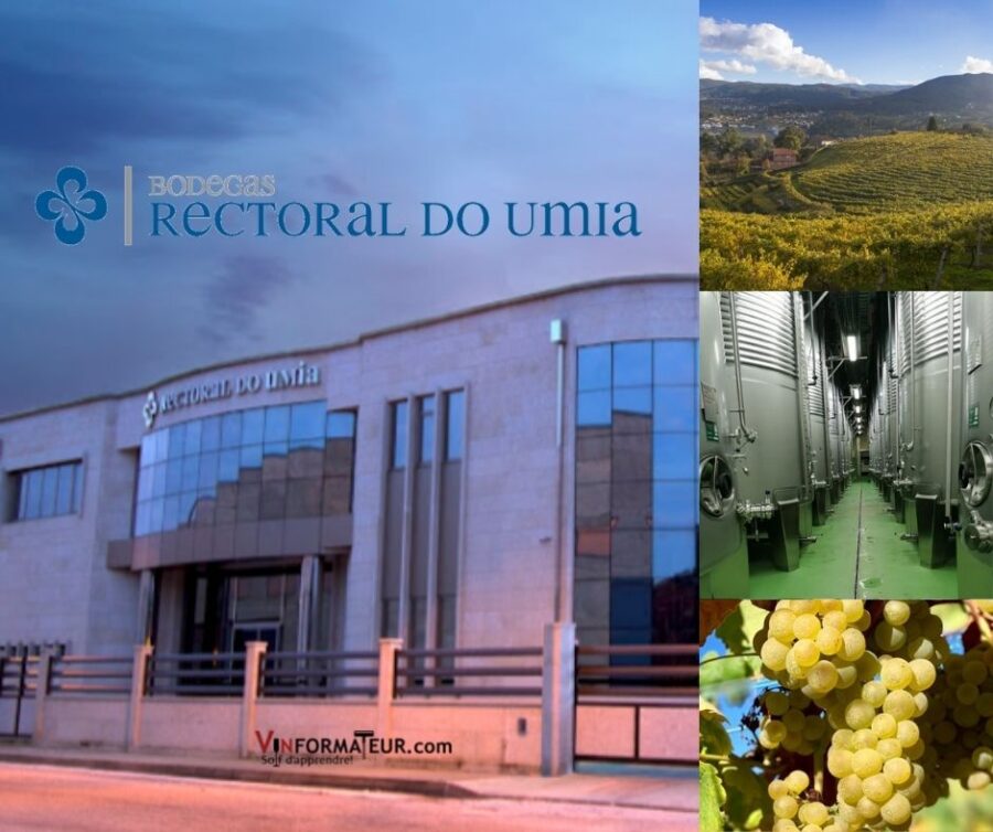 Bodegas Rectoral do Umia: bureaux, chai , vignobles et cépage Albarino.