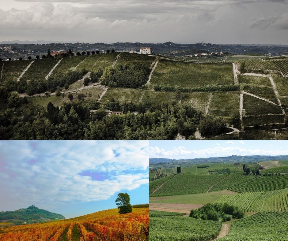 Vignobles Barbera d'Asti et Monferrato