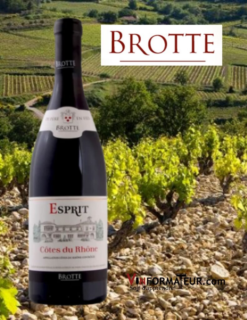 Bouteille de Brotte, Esprit, AOC Côtes du Rhône, vin blanc, 2020