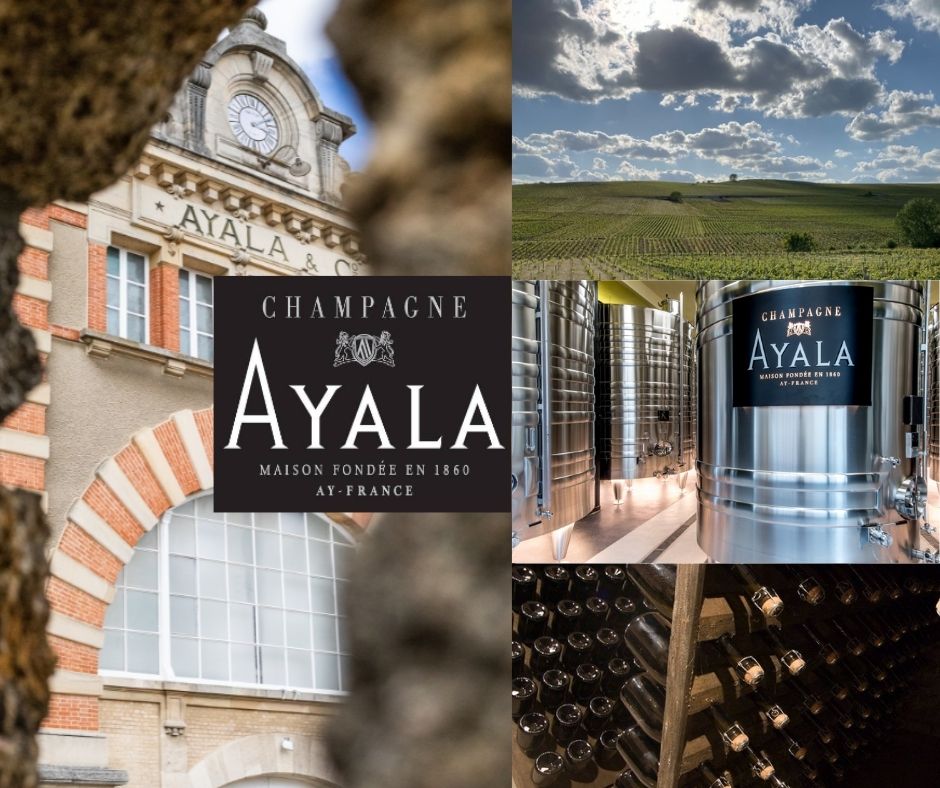 Champagne Ayala: chai et vignobles