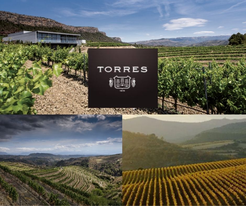 Familia Torres: vins et chais dans le Priorat