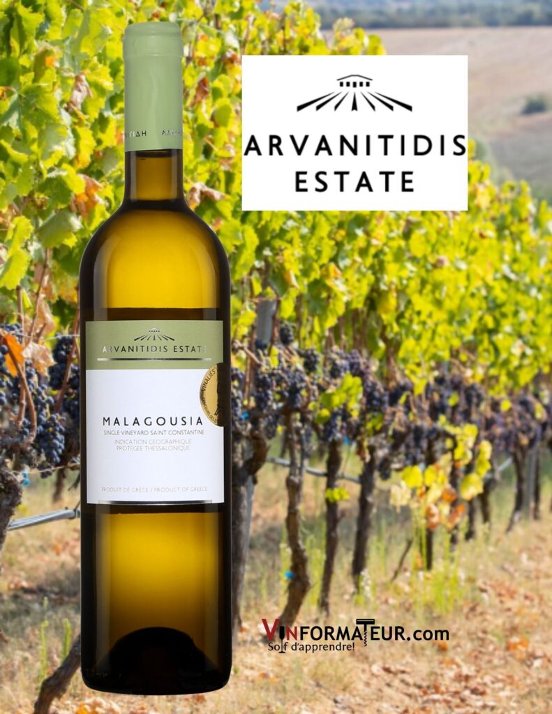 Bouteille de Malagousia, Grèce, IGP Thessalonique, Single Vineyard Saint Constantine, Arvanitidis Estate, vin blanc, 2019