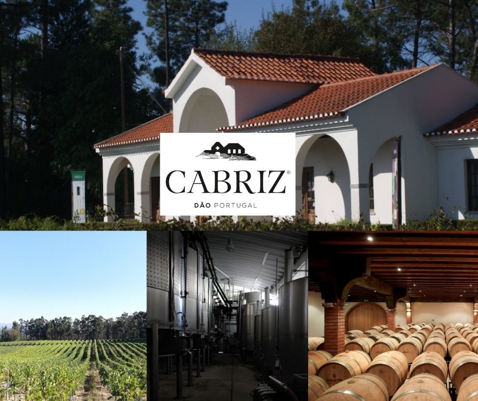 Quinta da Cabriz: chai et vignobles