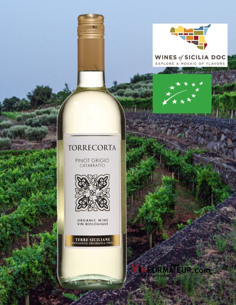 Bouteille de Torrecorta, Pinot Grigio Cataratto, Sicile, Terre Siciliane IGP, vin blanc bio, 2020