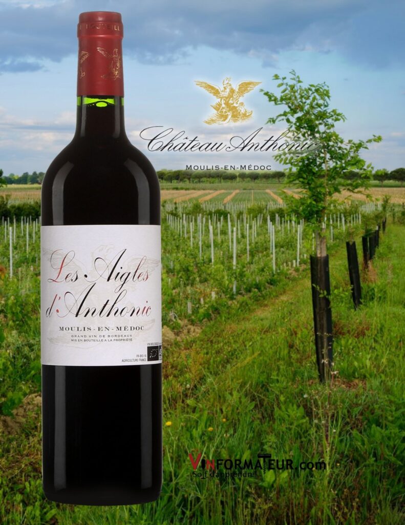Bouteille de Les Aigles d’Anthonic, France, Bordeaux, Moulis-en-Médoc, Château Anthonic, vin rouge bio, 2019 (2020 disponible)