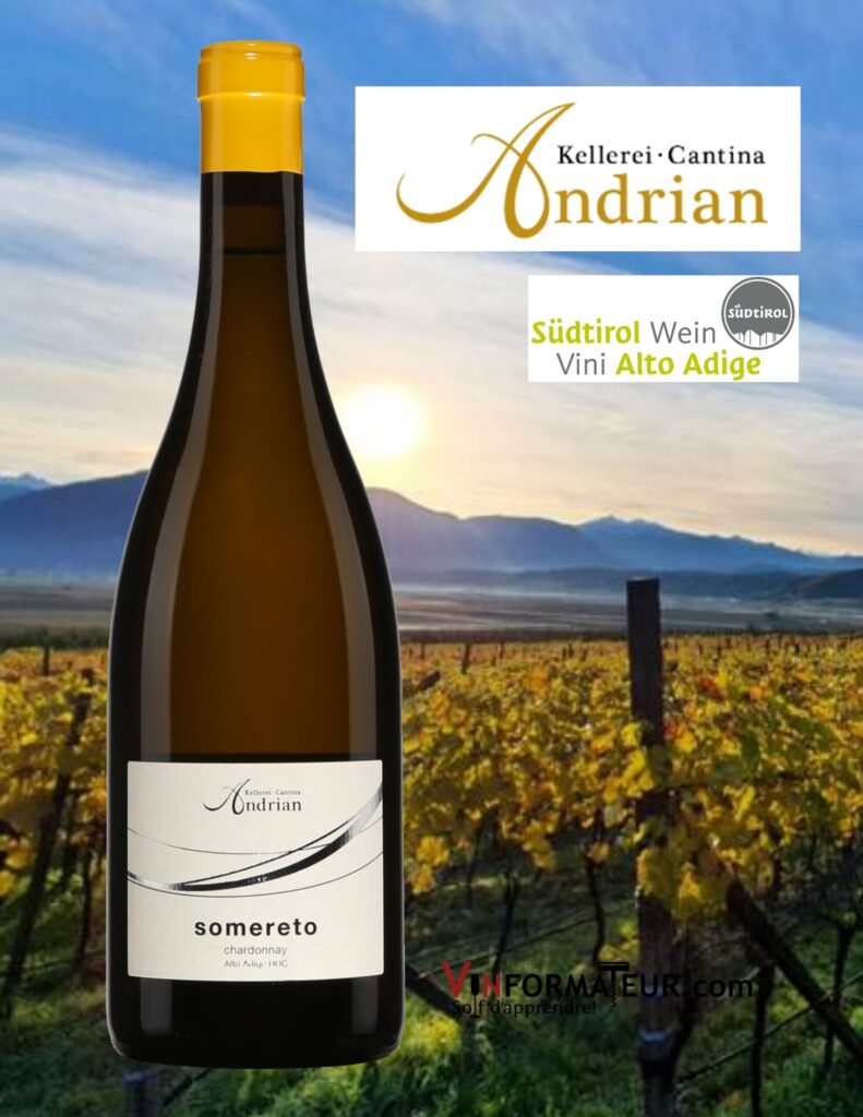 Bouteille de Chardonnay, Somereto, Cantina Andrian, Italie, Alto Adige DOC/Sudtirol, 2020